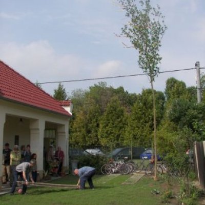 Nevenincs majális