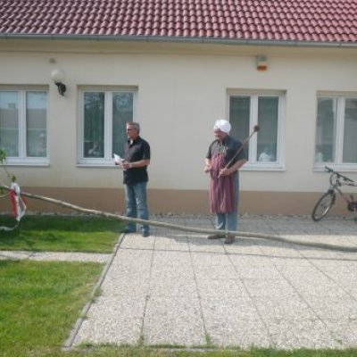 Majális 2010