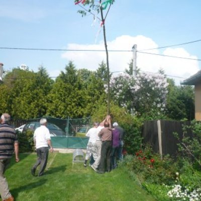 Majális 2010