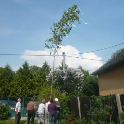 Majális 2010