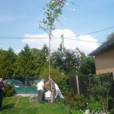 Majális 2010