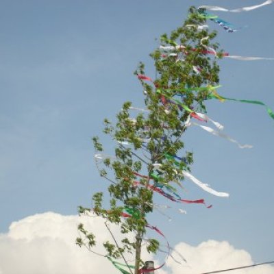 Majális 2010