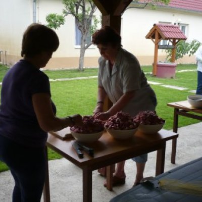 Majális 2011