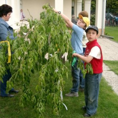 Majális 2011