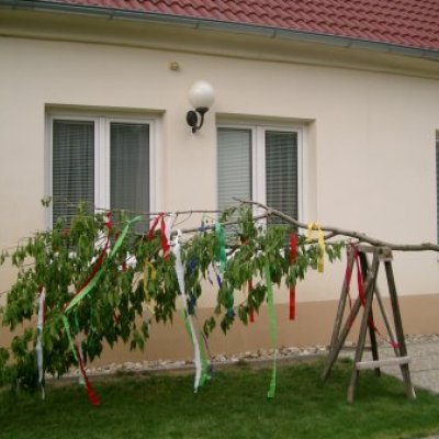 Majális 2011