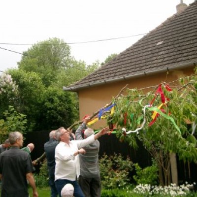 Majális 2011