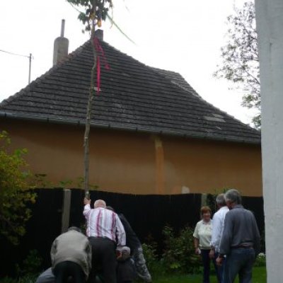 Majális 2011