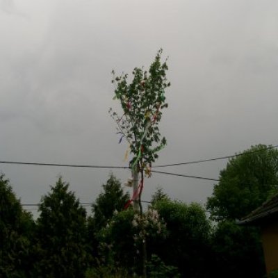 Majális 2011