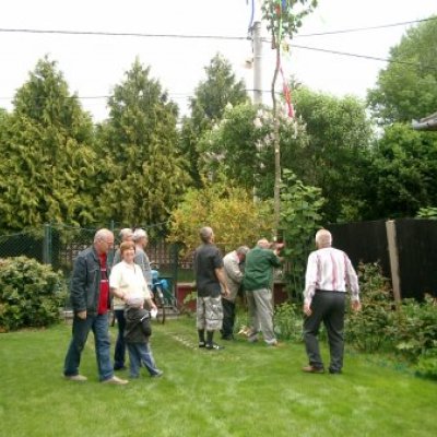 Majális 2011