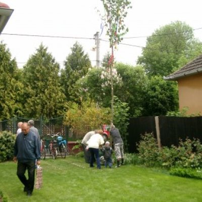 Majális 2011