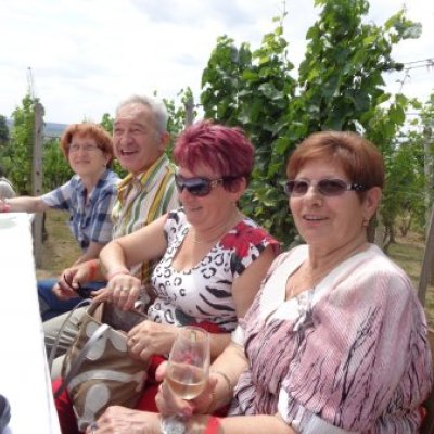 TARTSON VELÜNK a VI. Kürti Borfesztiválra