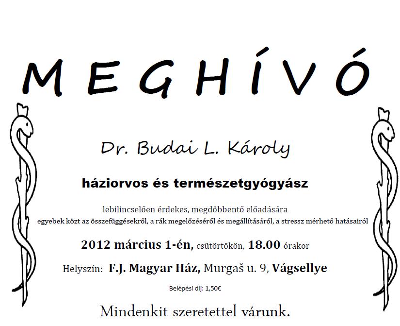 Dr. Budai L. Károly előadása