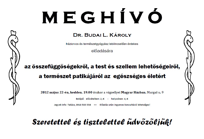 Dr. Budai L. Károly előadása